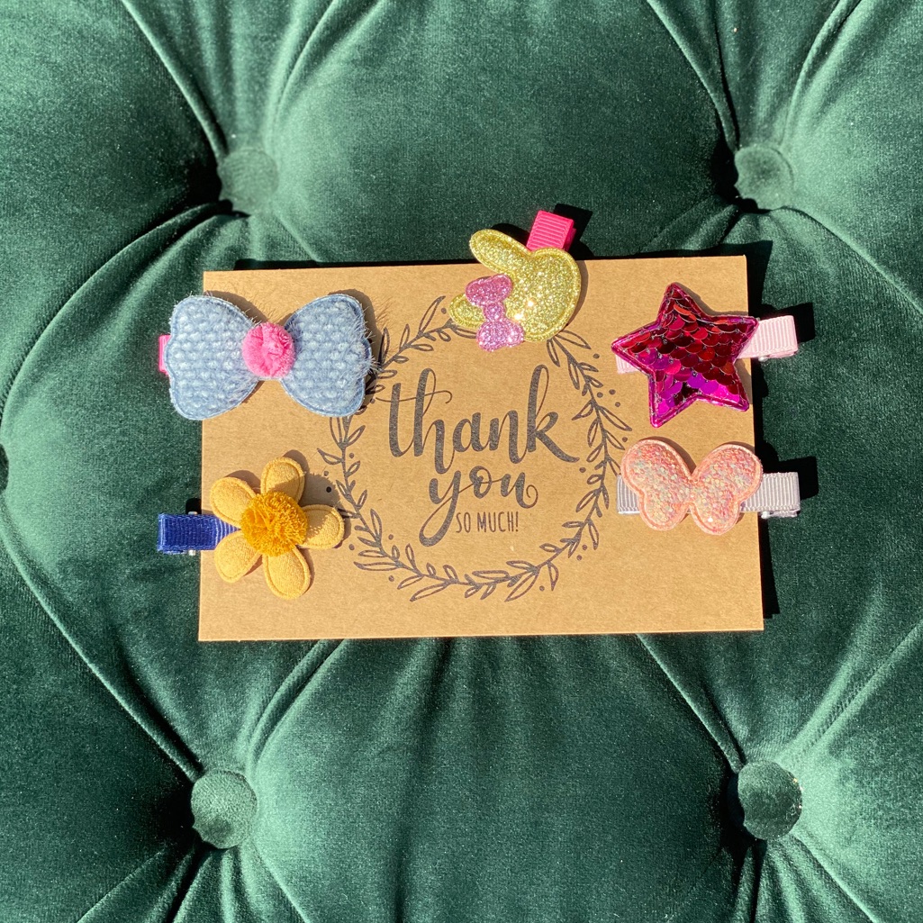 Girls Accessories Hair Clip 5 Piece Bundle Girls Accessories Hair Clip 5 Piece Bundle